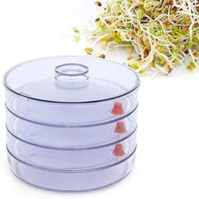 070 Plastic 4 Compartment Sprout Maker, White Sajal Enterprise