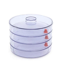 070 Plastic 4 Compartment Sprout Maker, White Sajal Enterprise