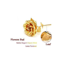 879 24K Artificial Golden Rose/Gold Red Rose with Gift Box (10 inches) DeoDap